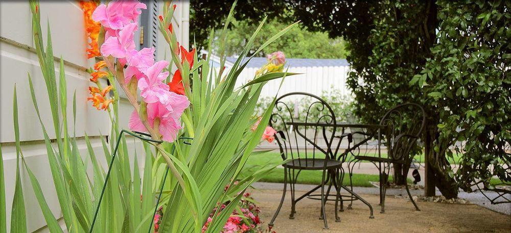 Arbor Guest House Napa Dış mekan fotoğraf