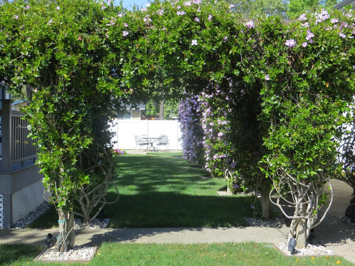 Arbor Guest House Napa Dış mekan fotoğraf